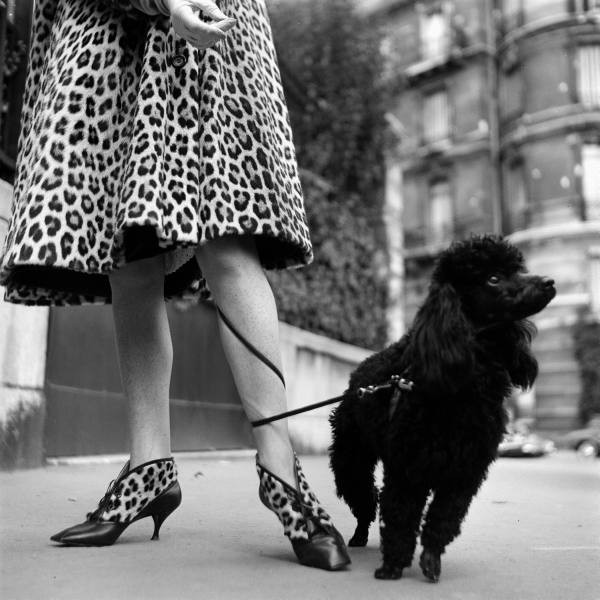 women with fashionable coat and shoes